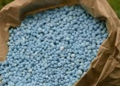 尿素多久被吸收？怎樣提高利用率？